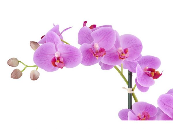 HTT Decorations - Kunstplant Orchidee / Phalaenopsis 3-tak roze 63 cm hoog - Kunstplantshop.nl