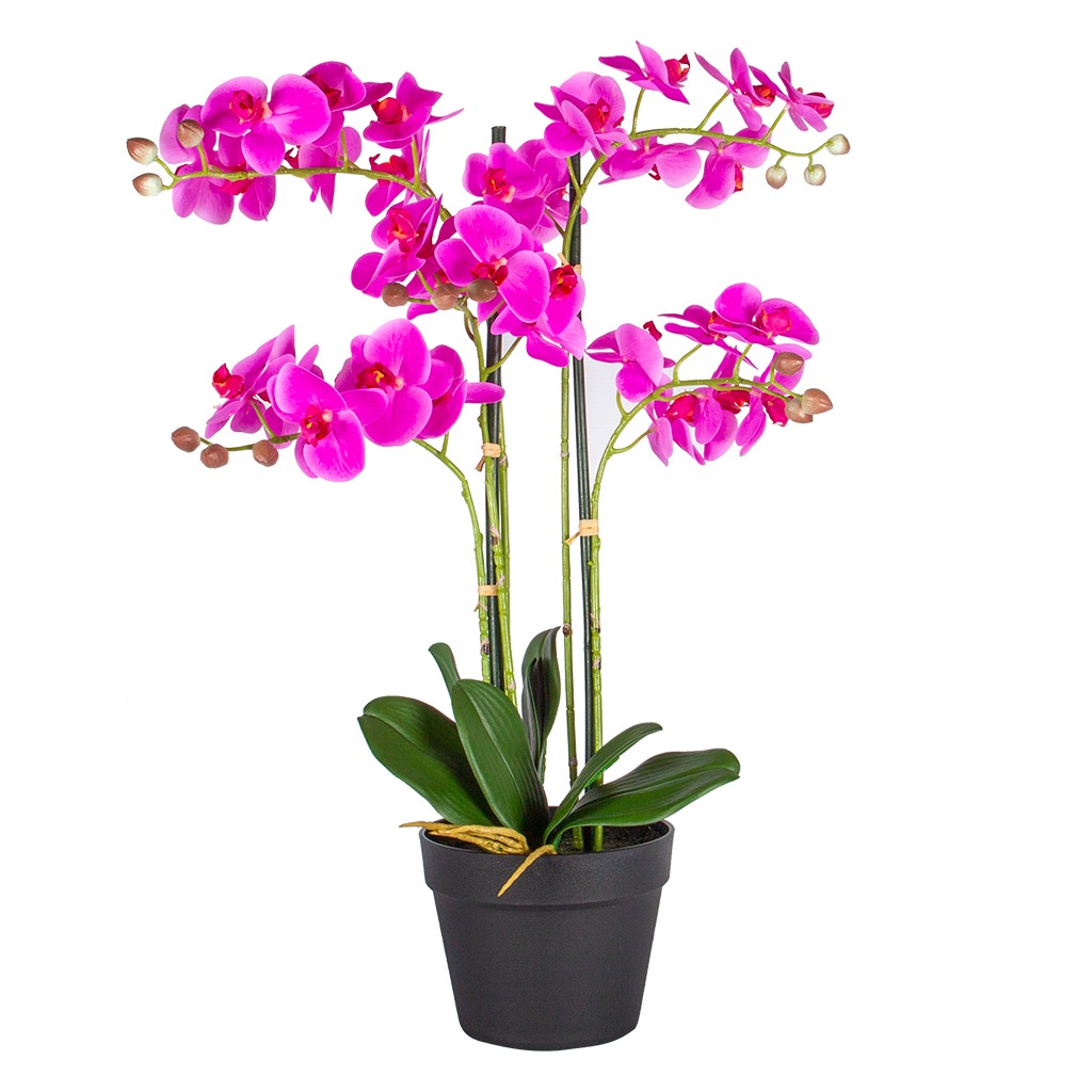Kunstplant Orchidee / Phalaenopsis XL 5-tak roze H68cm - HTT Decorations
