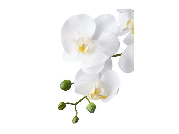 Orchidee / Phalaenopsis XXL 5-tak wit 90 cm hoog detail - Kunstplantshop.nl