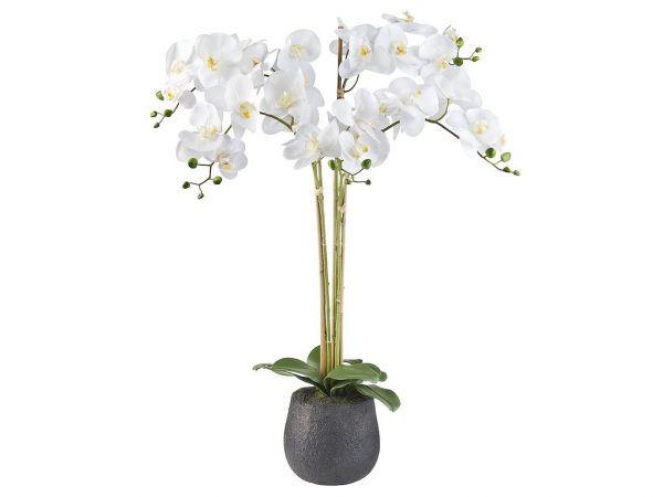 HTT Decorations - Kunstplant Orchidee / Phalaenopsis XXL 5-tak wit H90cm - kunstplantshop.nl
