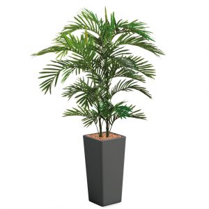 HTT - Kunstplant Areca palm in Clou vierkant antraciet H185 cm - kunstplantshop.nl