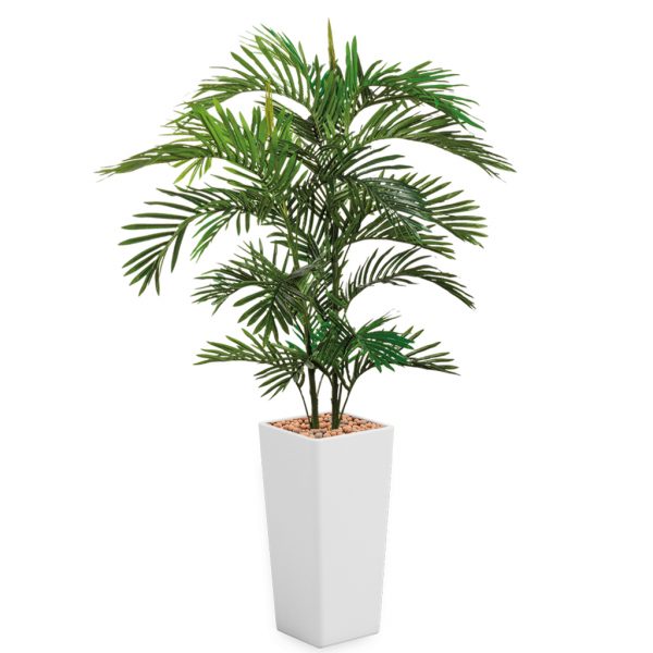 HTT - Kunstplant Areca palm in Clou vierkant wit H185 cm - kunstplantshop.nl