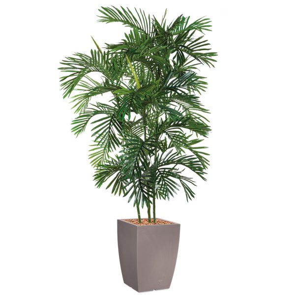 HTT - Kunstplant Areca palm in Genesis vierkant taupe H210 cm - kunstplantshop.nl