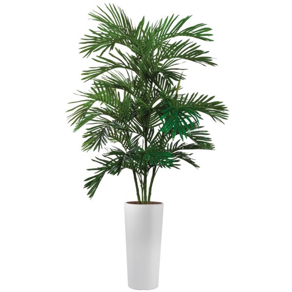HTT - Kunstplant Areca palm in Clou rond wit H215 cm - kunstplantshop.nl