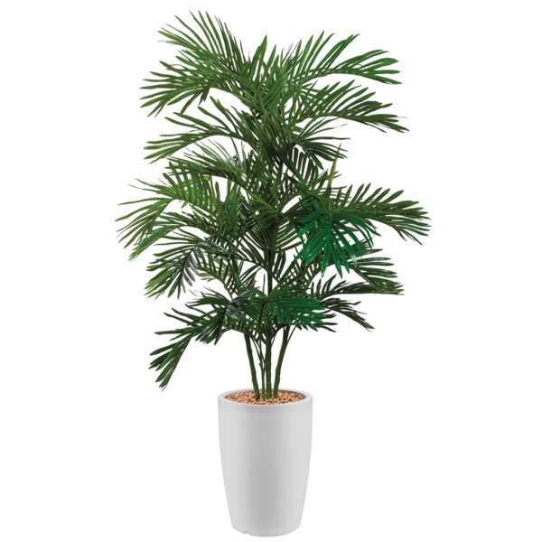 HTT - Kunstplant Areca palm in Genesis rond wit H180 cm - kunstplantshop.nl
