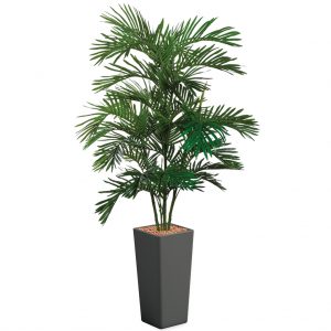 HTT - Kunstplant Areca palm in Clou vierkant antraciet H215 cm - kunstplantshop.nl