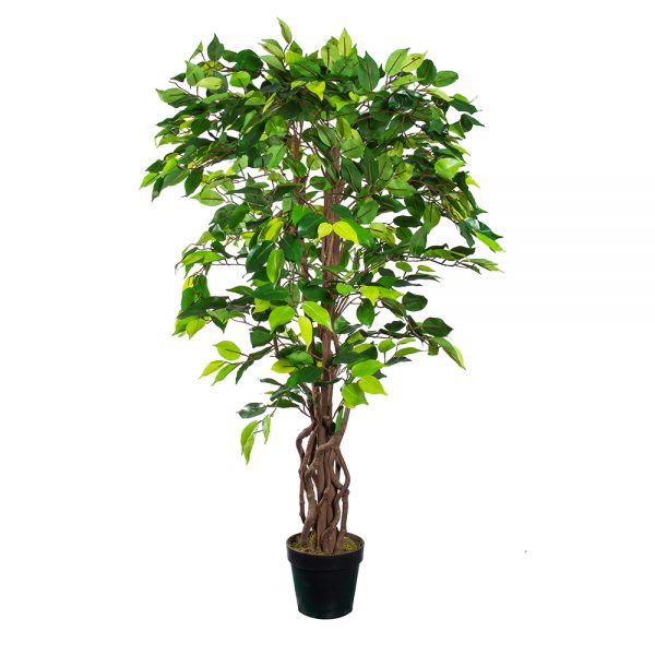 Kunstplant Ficus Groen H125cm - HTT Decorations