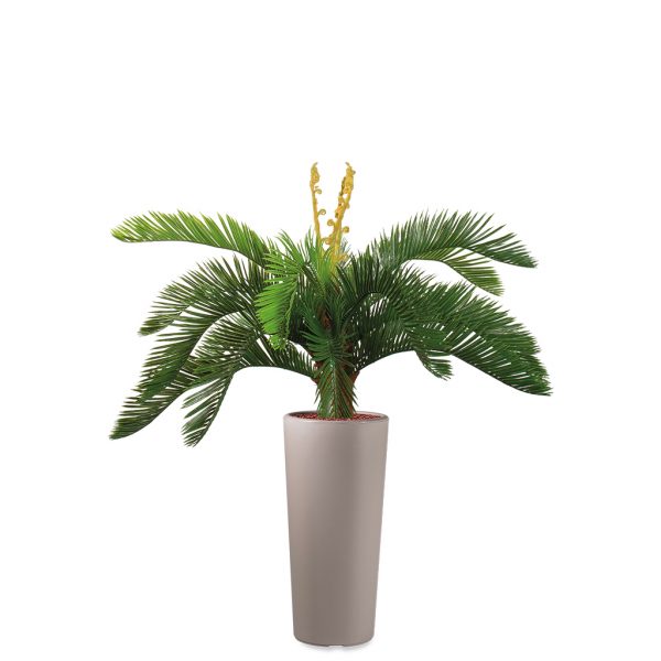 Kunstplant Cycas in Clou rond taupe H105 cm - HTT Decorations