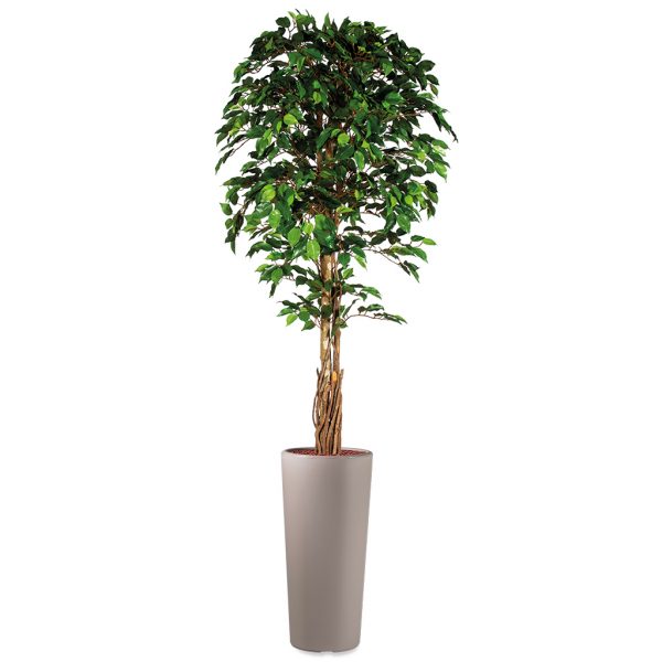 Kunstplant Ficus in Clou rond taupe H250 cm - HTT Decorations
