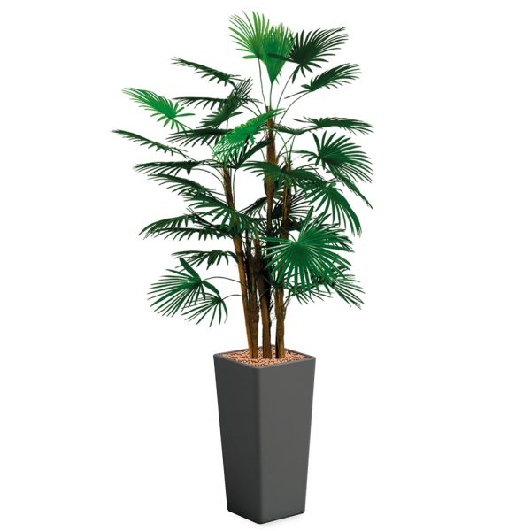 HTT - Kunstplant Rhapis palm in Clou vierkant antraciet H185 cm - kunstplantshop.nl