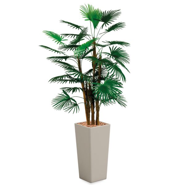 HTT - Kunstplant Rhapis palm in Clou vierkant taupe H185 cm - kunstplantshop.nl