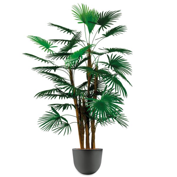 HTT - Kunstplant Rhapis palm in Eggy antraciet H125 cm - kunstplantshop.nl