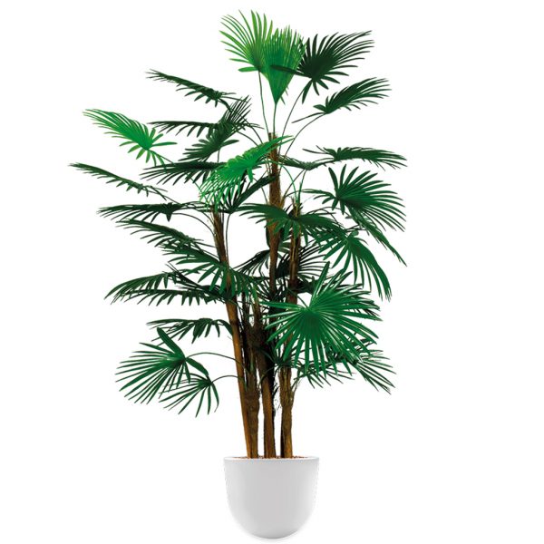HTT - Kunstplant Rhapis palm in Eggy wit H125 cm - kunstplantshop.nl