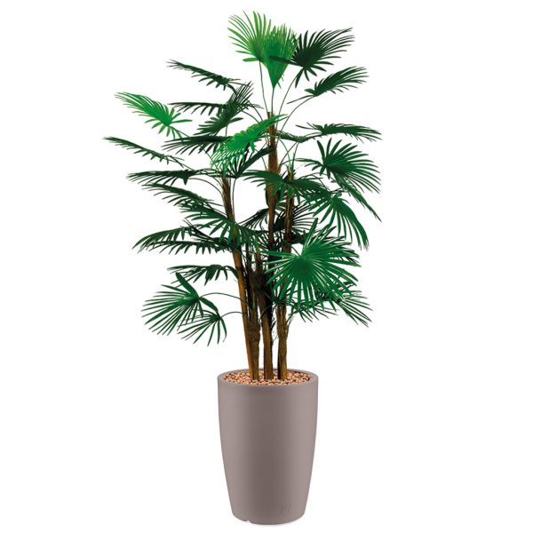 HTT - Kunstplant Rhapis palm in Genesis rond taupe H150 cm - kunstplantshop.nl