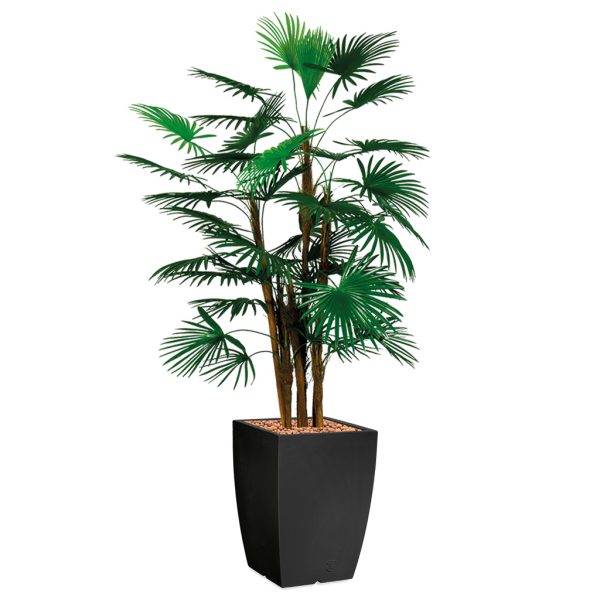 HTT - Kunstplant Rhapis palm in Genesis vierkant antraciet H150 cm - kunstplantshop.nl