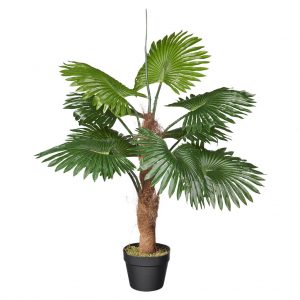 Kunstplant Fan palm H100cm - HTT Decorations