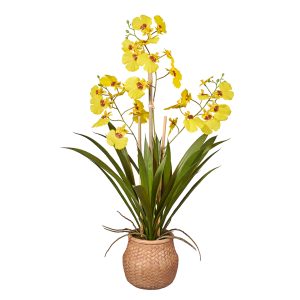 Kunstplant wilde Orchidee 3-tak geel H53cm - HTT Decorations