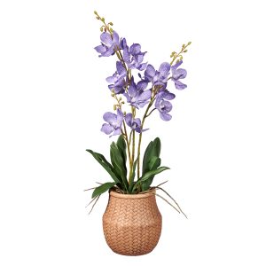 Kunstplant wilde Orchidee 3-tak lila H58cm - HTT Decorations